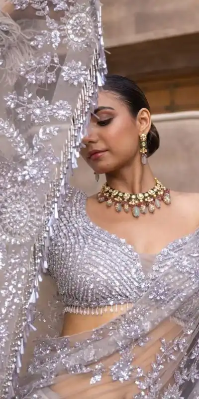 DS BT 387 Silver Color Nylon Butterfly Net Malty & Sequence Saree Wedding, Party, Festive, Events Expected Delivery 4-6 Working Days @ 1699/- | Bollywood Sarees, Creative Sarees, Designer Sarees, Embroidered Sarees, Ethnic Saree, Modern Digital sarees, Party Wear Sarees, Sarees