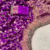 MS 469 Purple color Jacquard Weaving With Embroidery Cording Lace Saree Casual, Wedding, Festive, Events . Expected Delivery  4-6 Working Days @1649/- only                                                                                                                                                                    | Embroidered Sarees, Bollywood Sarees, Creative Sarees, Designer Sarees, Ethnic Saree, Modern Digital sarees, Party Wear Sarees, Sarees