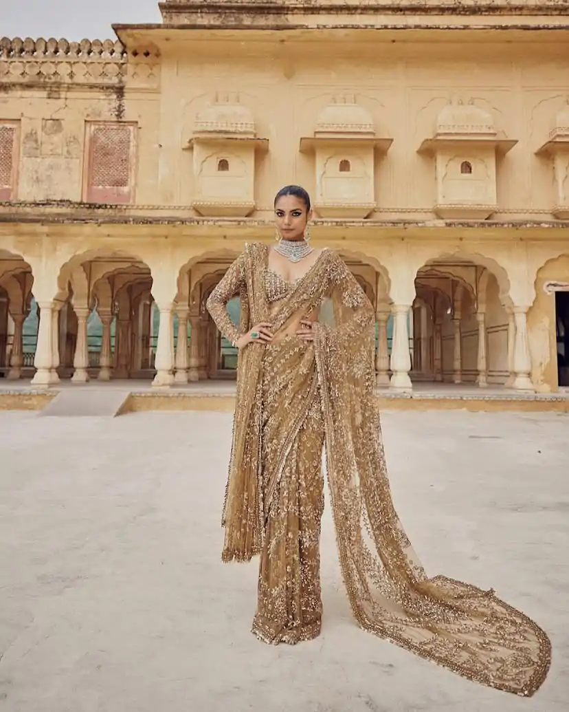 DF 3441 Chiku Color Mono Net Heavy 5mm Sequins Embroidery Work Saree Casual, Wedding, Festive, Events . Expected Delivery  4-6 Working Days @1799/- only                                                                                | Embroidered Sarees, Bollywood Sarees, Creative Sarees, Designer Sarees, Ethnic Saree, Modern Digital sarees, Party Wear Sarees, Sarees