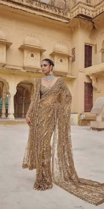 DF 3441 Chiku Color Mono Net Heavy 5mm Sequins Embroidery Work Saree Casual, Wedding, Festive, Events . Expected Delivery  4-6 Working Days @1799/- only                                                                                | Embroidered Sarees, Bollywood Sarees, Creative Sarees, Designer Sarees, Ethnic Saree, Modern Digital sarees, Party Wear Sarees, Sarees