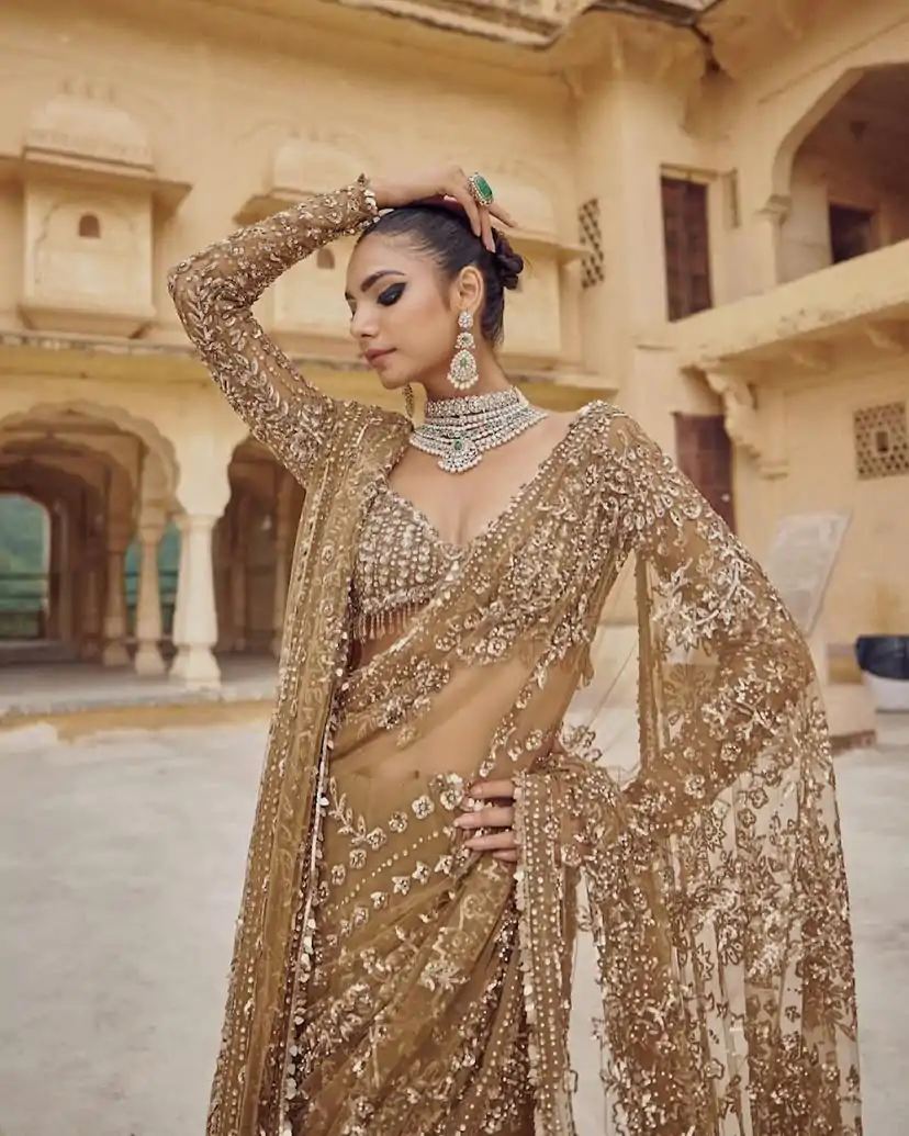 DF 3441 Chiku Color Mono Net Heavy 5mm Sequins Embroidery Work Saree Casual, Wedding, Festive, Events . Expected Delivery  4-6 Working Days @1799/- only                                                                                | Embroidered Sarees, Bollywood Sarees, Creative Sarees, Designer Sarees, Ethnic Saree, Modern Digital sarees, Party Wear Sarees, Sarees