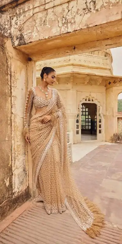 DF 3466 Cream Butterfly Net With Embroidery Work & Sequins Work Saree . Introductory Price ₹1799. Delivery 4-6 Working Days. Shop now. | Creative Sarees, Embroidered Sarees, Bollywood Sarees, Designer Sarees, Ethnic Saree, Modern Digital sarees, Party Wear Sarees, Sarees