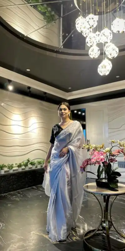 AC JIYA Silver Soft Jimmy Chuu with Lace Border & Lace Work Saree . Available at ₹3049 only. Delivery 4-6 Working Days. Shop now. | Creative Sarees, Embroidered Sarees, Bollywood Sarees, Designer Sarees, Ethnic Saree, Modern Digital sarees, Party Wear Sarees, Sarees