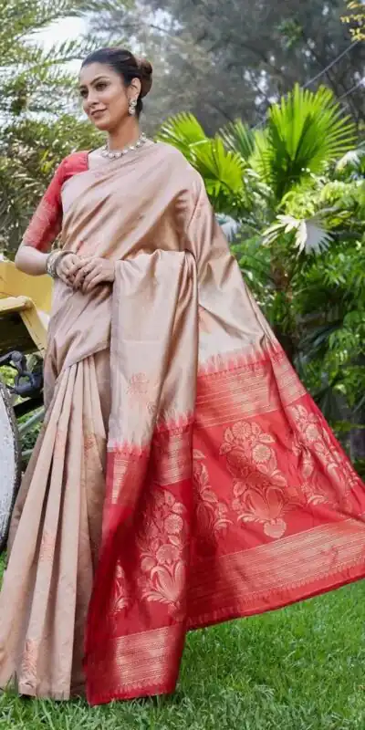 KPR 257 Chiku Soft Lichi Silk Saree with Lace Work & Lace Border. Now at just ₹1349. Delivery 4-6 Working Days. Shop now. | Creative Sarees, Embroidered Sarees, Bollywood Sarees, Designer Sarees, Ethnic Saree, Modern Digital sarees, Party Wear Sarees, Sarees