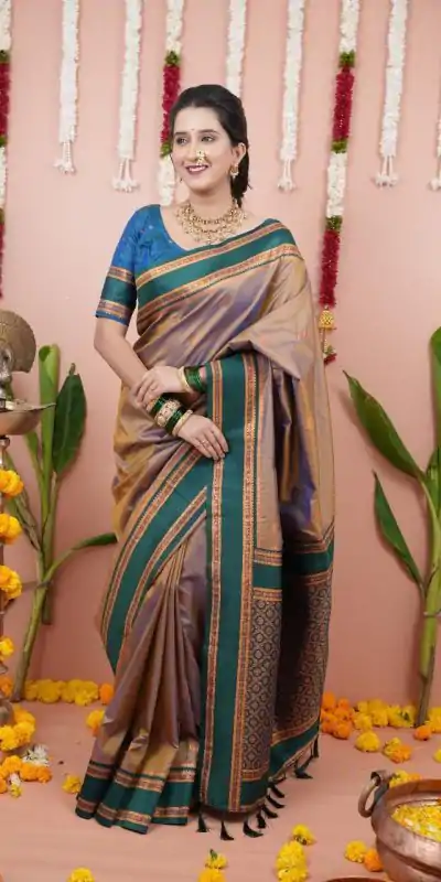 Grey Silk Paithni Weaving Zari Work Saree
