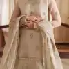 Off White Tabby Organza Embroidery Work Salwar Suit