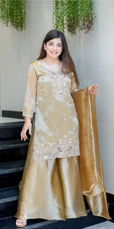 SSR 531 Brown Jimmy Choo Salwar Suit Perfect for Wedding, Party, Baby Shower, Durga Puja, Engagement – . Get it for ₹1949. Delivery 4-6 Working Days. | Casual Suits, Jump Suits, Creative suits, Designer Suits, Palazzo Suits, Party Wear Suits, Patiala Suits, Salwar suit, Straight Suits