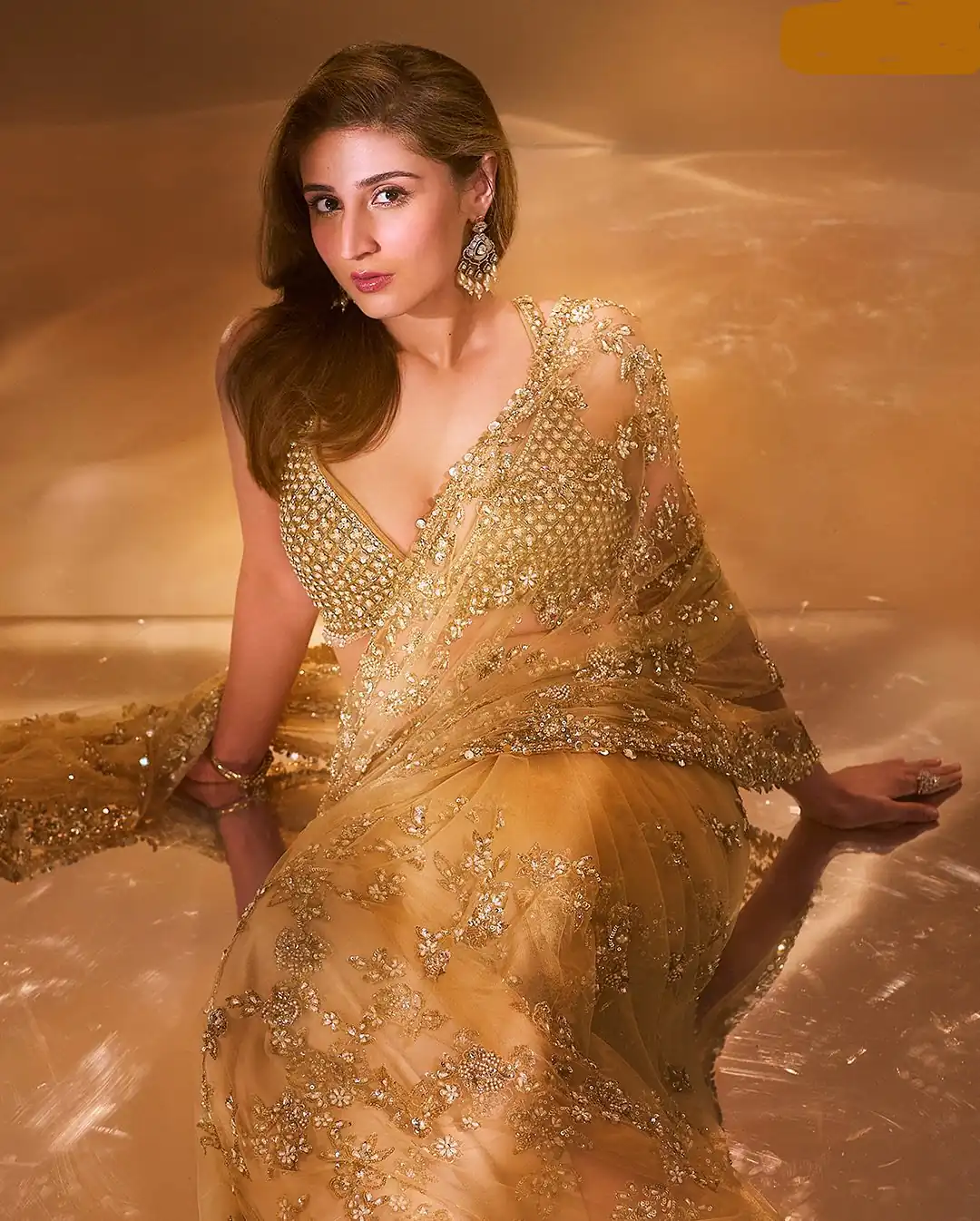 BT 388 Chiku Nylon Butterfly Net Saree with Lace Border & Lace Work. Exclusive Offer ₹1774. Delivery 4-6 Working Days. Shop now. | Creative Sarees, Embroidered Sarees, Bollywood Sarees, Designer Sarees, Ethnic Saree, Modern Digital sarees, Party Wear Sarees, Sarees