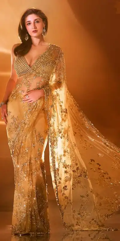 BT 388 Chiku Nylon Butterfly Net Saree with Lace Border & Lace Work. Exclusive Offer ₹1774. Delivery 4-6 Working Days. Shop now. | Creative Sarees, Embroidered Sarees, Bollywood Sarees, Designer Sarees, Ethnic Saree, Modern Digital sarees, Party Wear Sarees, Sarees