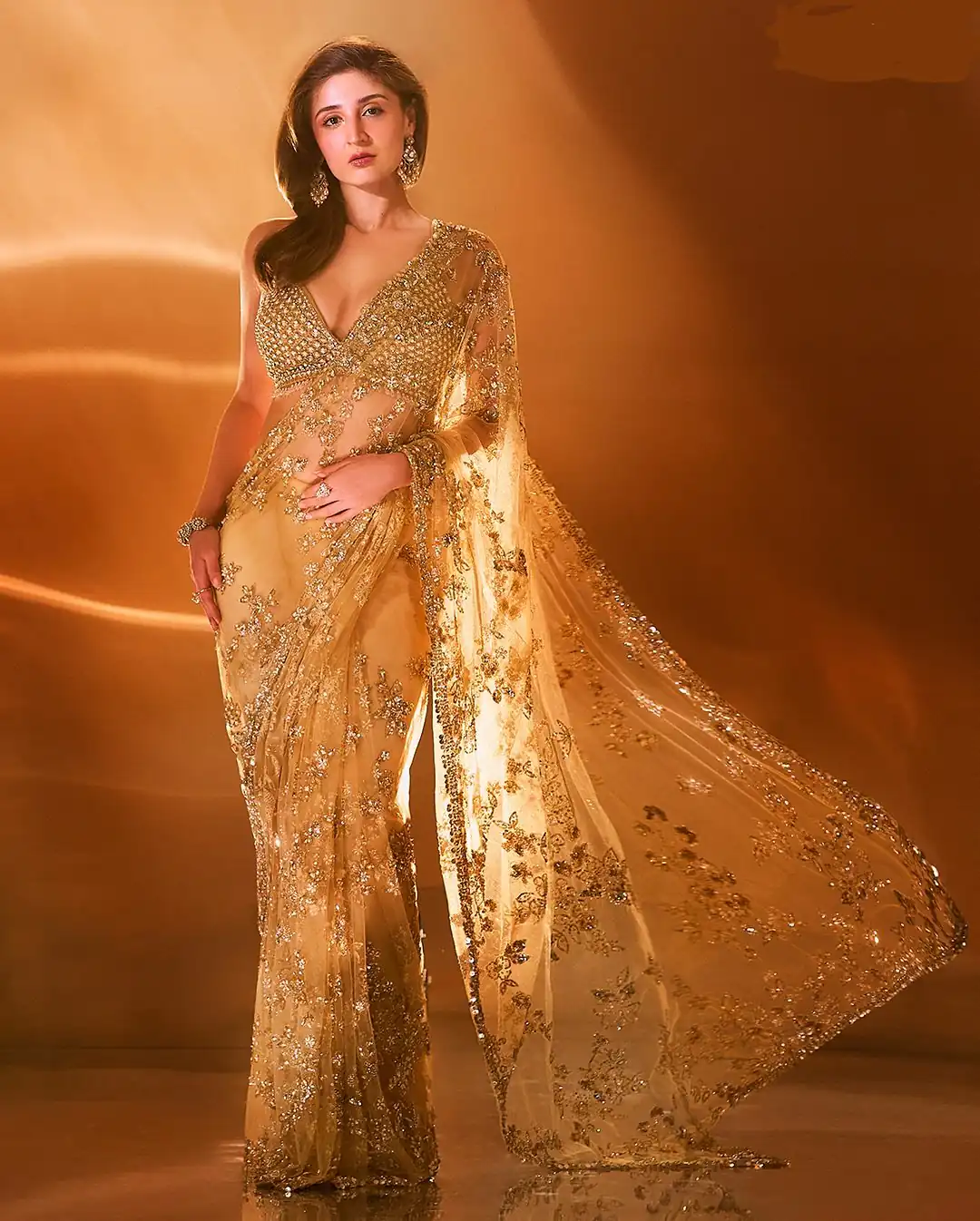 BT 388 Chiku Nylon Butterfly Net Saree with Lace Border & Lace Work. Exclusive Offer ₹1774. Delivery 4-6 Working Days. Shop now. | Creative Sarees, Embroidered Sarees, Bollywood Sarees, Designer Sarees, Ethnic Saree, Modern Digital sarees, Party Wear Sarees, Sarees