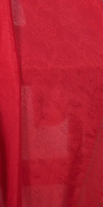 YNF 7916 Red Chinon Saree with Zari Work. Wedding, Party, Festive, Events Festive Deal ₹1699. Delivery 4-6 Working Days. Shop now. | Creative Sarees, Embroidered Sarees, Bollywood Sarees, Designer Sarees, Ethnic Saree, Modern Digital sarees, Party Wear Sarees, Sarees