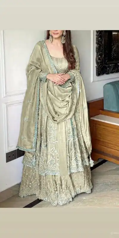 Cream Crunchy Silk Lace Embroidery Work Gown