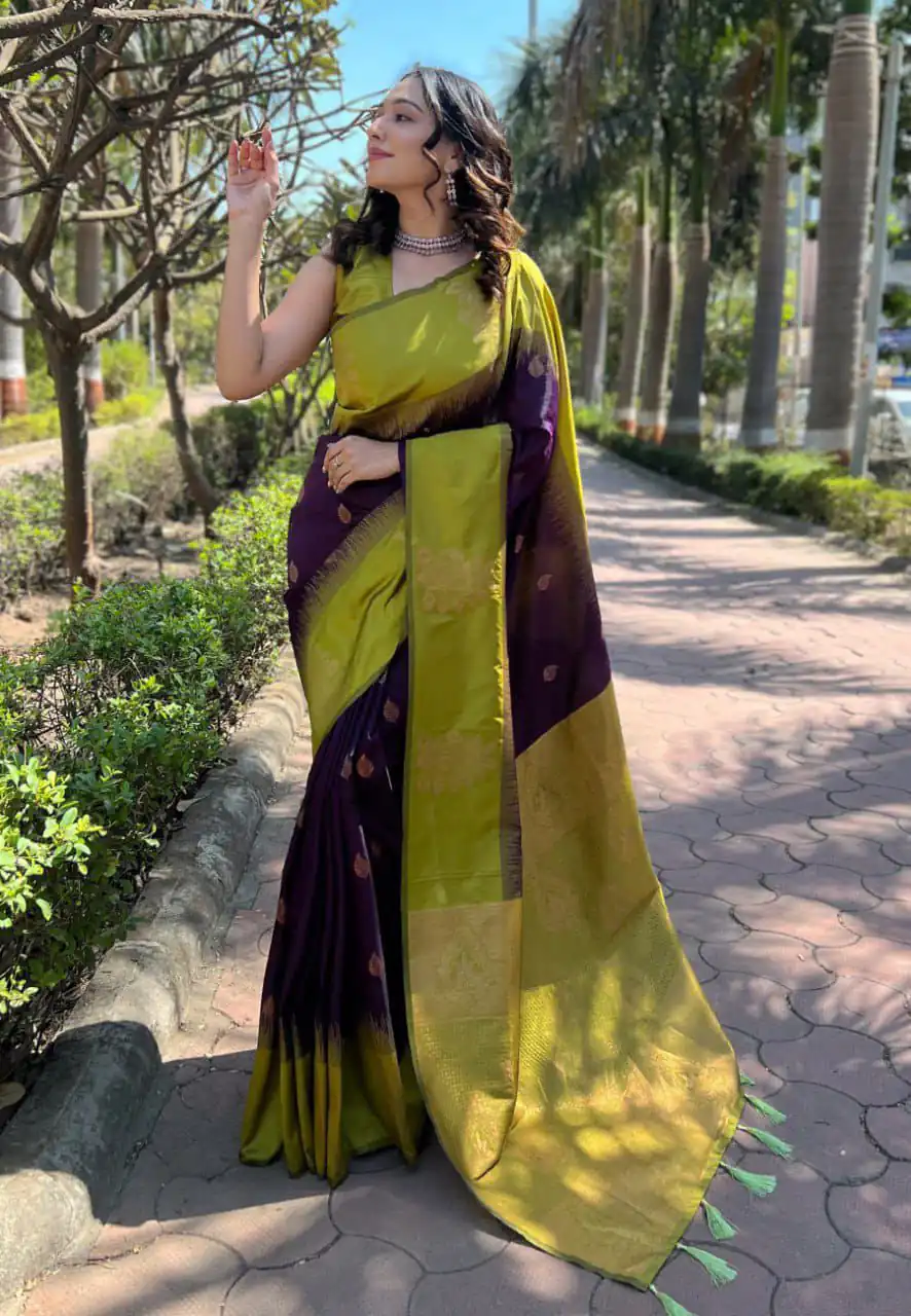 Purple Lichi Silk Jacquard Saree