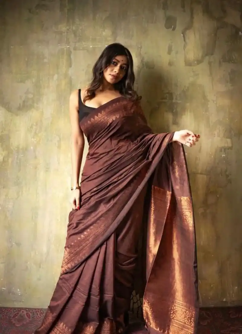 Brown Soft Lichi Silk Border Lace Saree