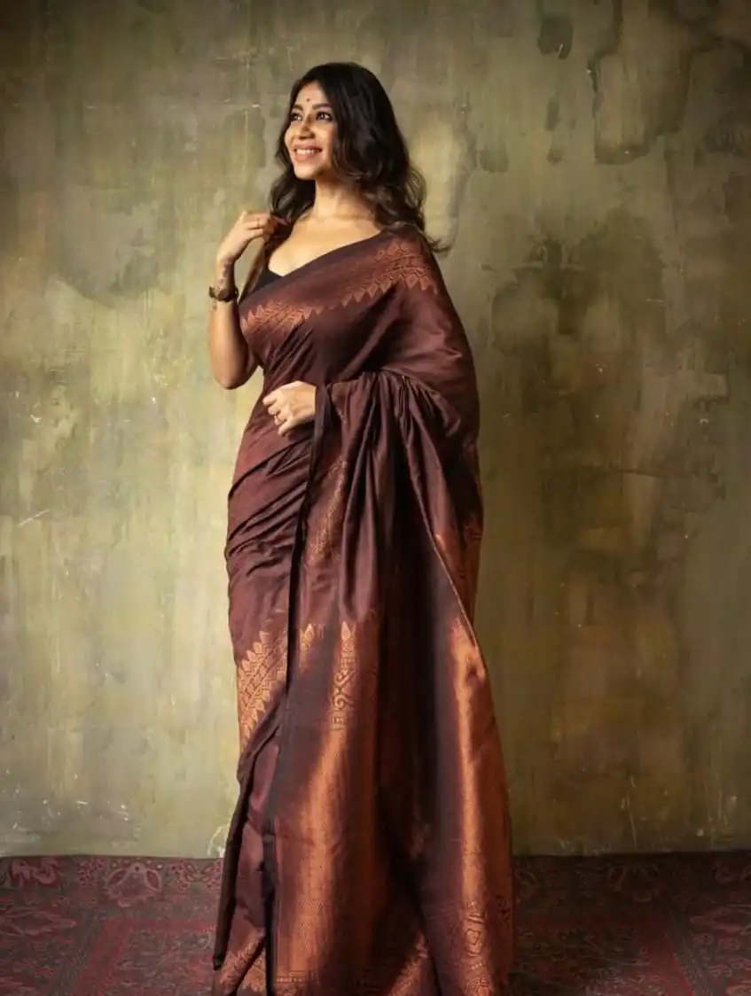 Brown Soft Lichi Silk Border Lace Saree - Image 4