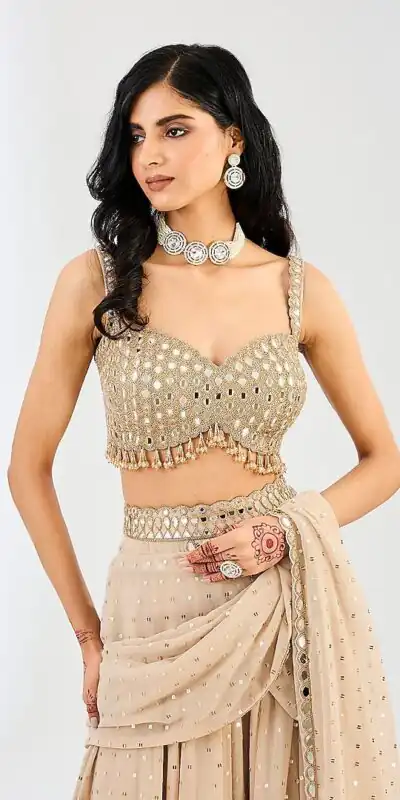 BD 1821 Chiku in Faux Georgette Mirror Work Saree . Wedding, Party, Festive, Events, Grab it for ₹2499. Delivery 4-6 Working Days. Shop now. | Creative Sarees, Bollywood Sarees, Designer Sarees, Embroidered Sarees, Ethnic Saree, Modern Digital sarees, Party Wear Sarees, Sarees