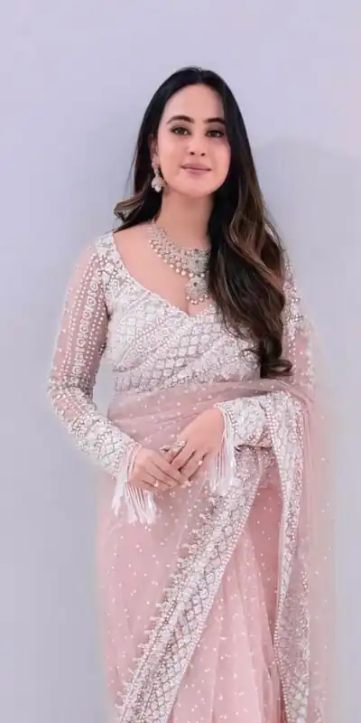 Baby Pink Soft Net Sequins Work Saree