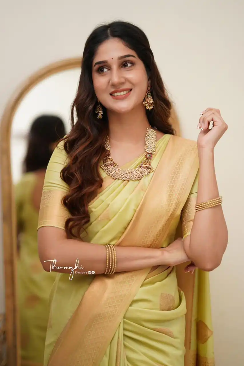 Classic Pista Lichi Silk Jacquard Work Saree - Image 4