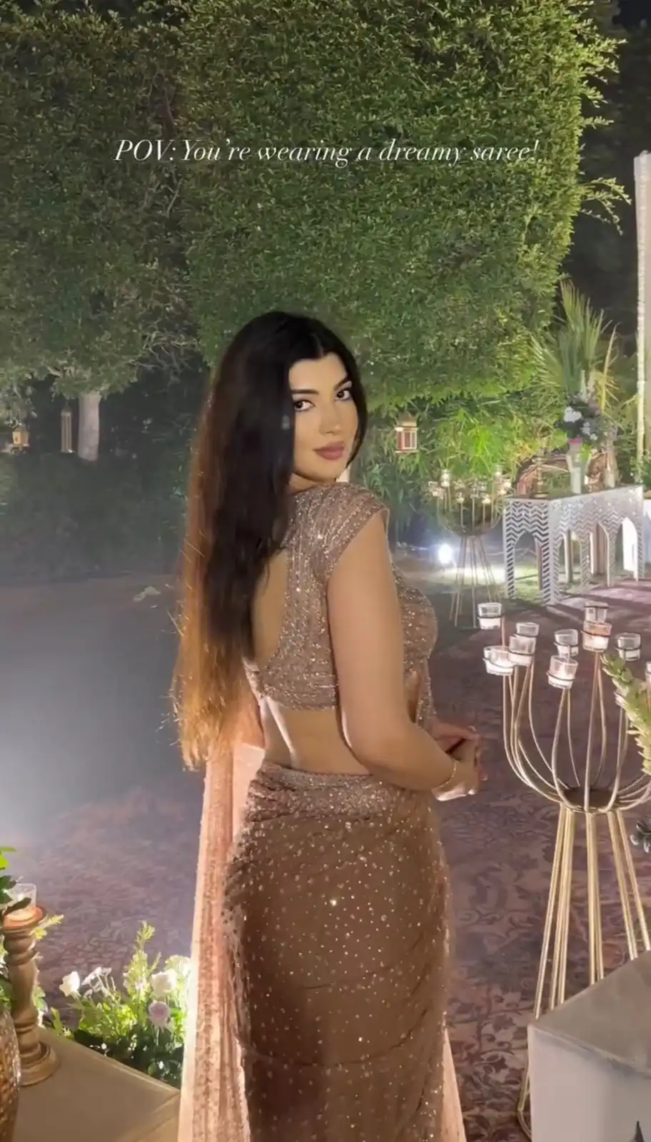 Majestic Chiku Net Sequins Work Saree - Image 3