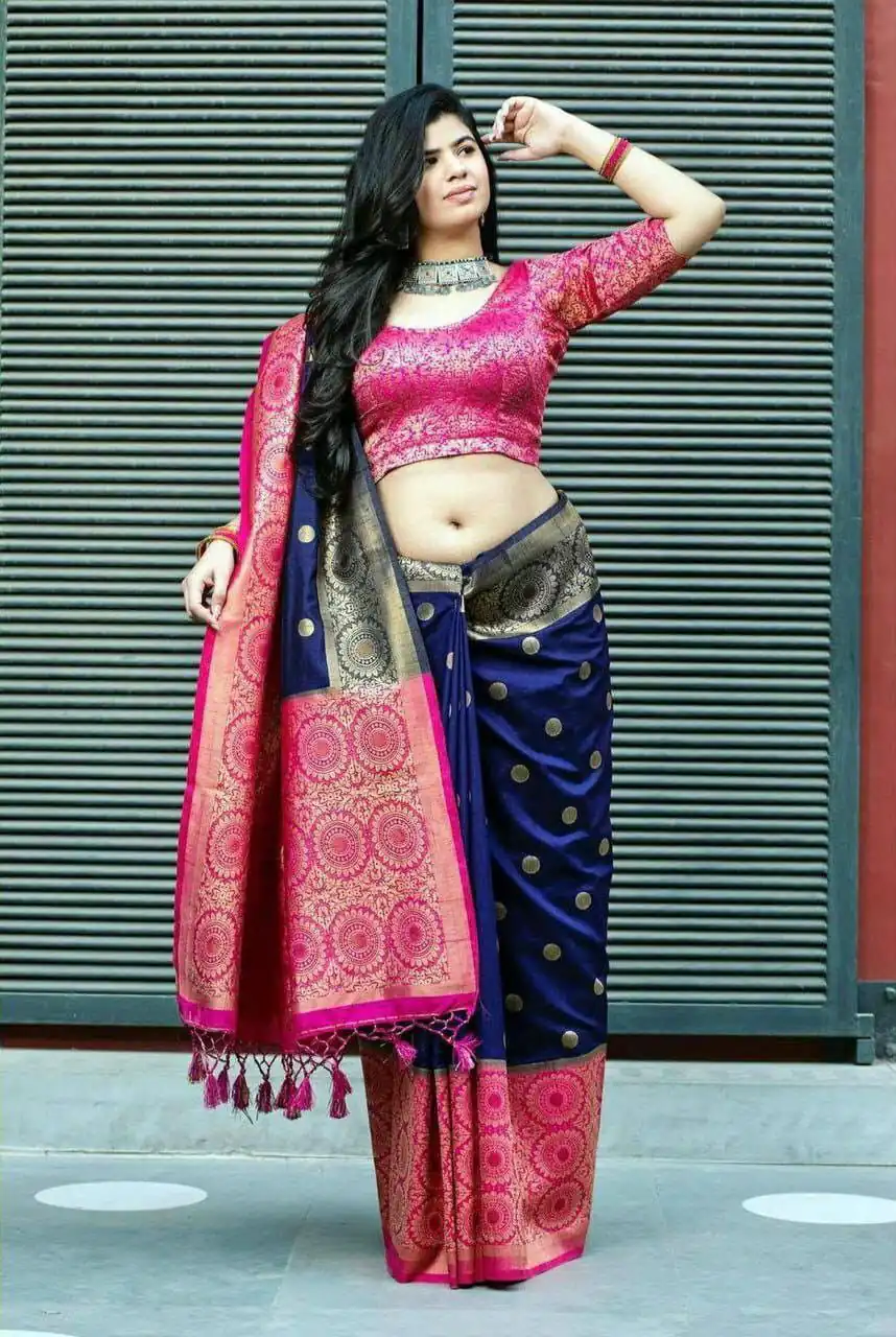 Navy Blue Soft Lichi Silk All Over Border Saree - Image 4