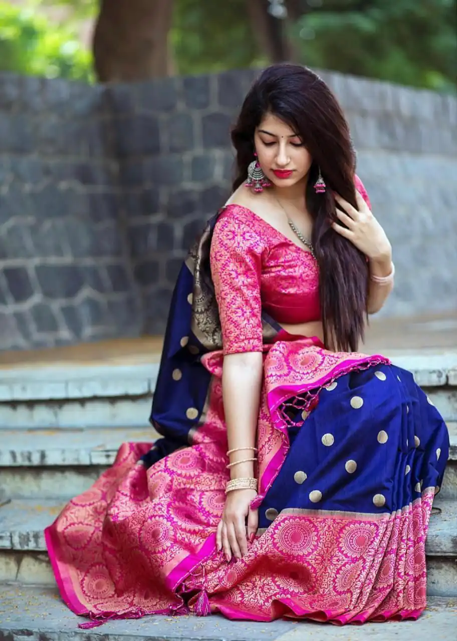 Navy Blue Soft Lichi Silk All Over Border Saree - Image 9