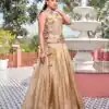Ram 166 Chiku Gold Crush Lehenga Choli Perfect for Wedding, Party, Ethnic Day, Karwa Chauth, Sangeet – . Special Price ₹2549. Delivery 4-6 Working Days. | Bollywood Lehenga, Creative Lehenga, Designer Lehenga, Embroidered Lehenga, Lehenga, Party Wear Lehenga