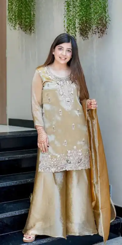 DC 114 Chiku Fandy Satin Salwar Suit with Embroidery Work & Lace Work. Exclusive Offer ₹1899. Delivery 4-6 Working Days. Shop now. | Casual Suits, Jump Suits, Creative suits, Designer Suits, Palazzo Suits, Party Wear Suits, Patiala Suits, Salwar suit, Straight Suits