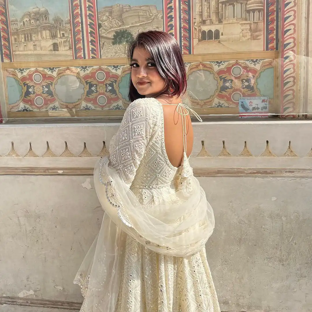 Aglow White Fox Georgette Embroider Work Gown - Image 4