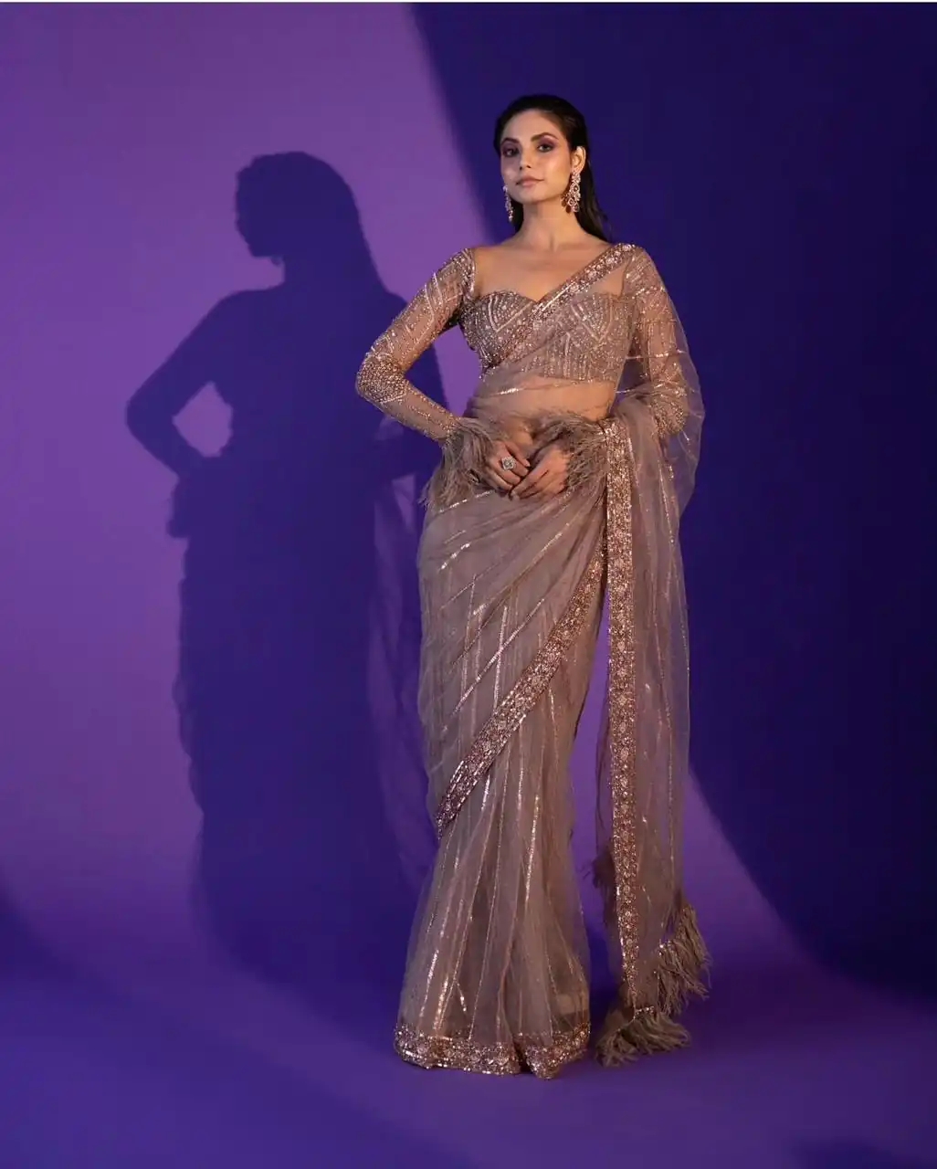 Fancy Golden Net Zari Sequins Work Saree - Image 2