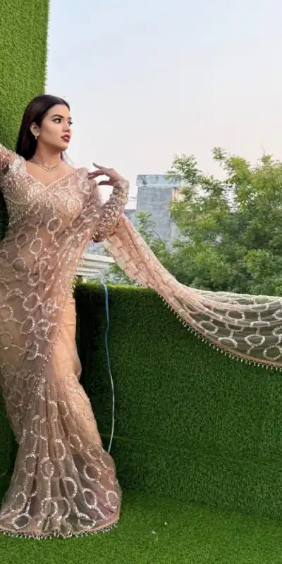 DF 3490 Chiku Color Butterfly Net Heavy 5mm Sequins Embroidery work Saree Casual, Wedding, Festive, Events . Expected Delivery 4-6 Working Days @1799/- only | Creative Sarees, Bollywood Sarees, Designer Sarees, Embroidered Sarees, Ethnic Saree, Modern Digital sarees, Party Wear Sarees, Sarees