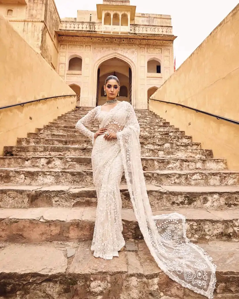 White Butterfly Net With Sequins Work Saree